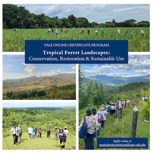 Topical Forest Landscapes Online Certificate Program